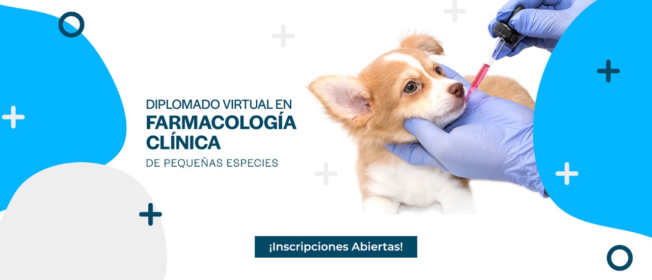 Diplomado en Farmacolofía Clínica de Pequeñas Especies