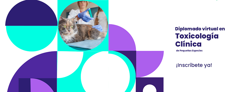 Diplomado en Toxicología Clínica de Pequeñas Especies